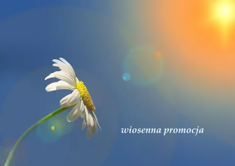 Promocja na produkty Wiśniowski trwa - zapraszamy