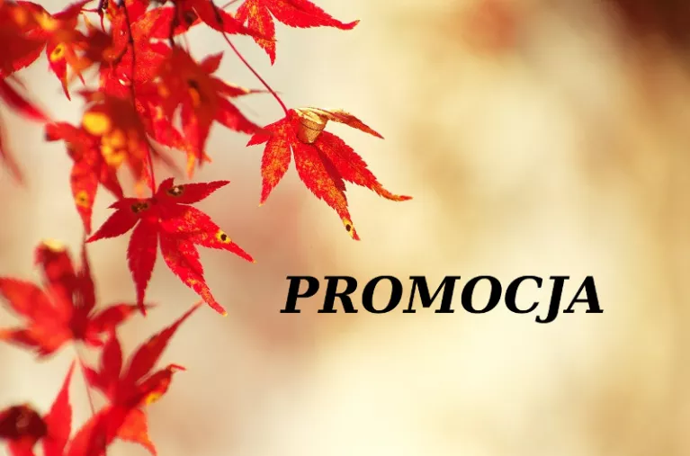 Jesienna promocja produktów Wiśniowski